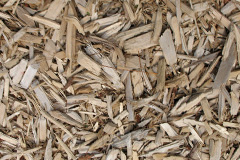 biomass boilers Tanterton